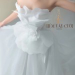 TVC773 Váy Cưới Đi Bàn, Đầm Cưới Đi Bàn, Cúp Ngực, Dáng Xòe